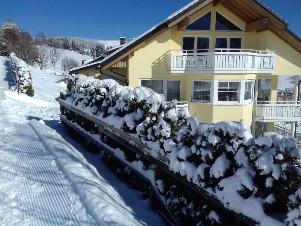 "Schwarzwaldblick" Ferienwohnung 2-4 Pers 65Qm, Schoene Ruhige Suedhanglage Mit Herrl Aussicht 토트나우 외부 사진