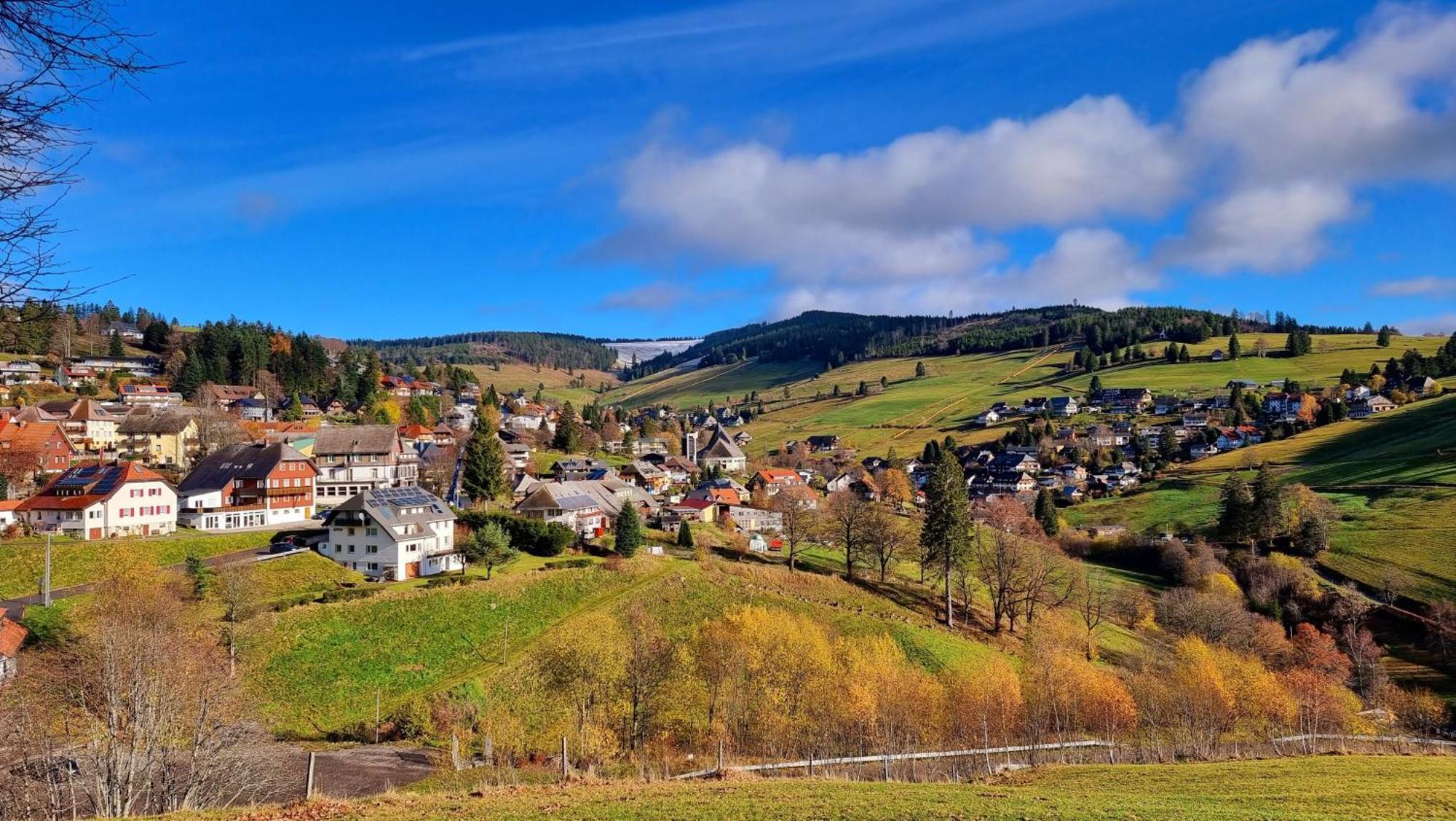 "Schwarzwaldblick" Ferienwohnung 2-4 Pers 65Qm, Schoene Ruhige Suedhanglage Mit Herrl Aussicht 토트나우 외부 사진