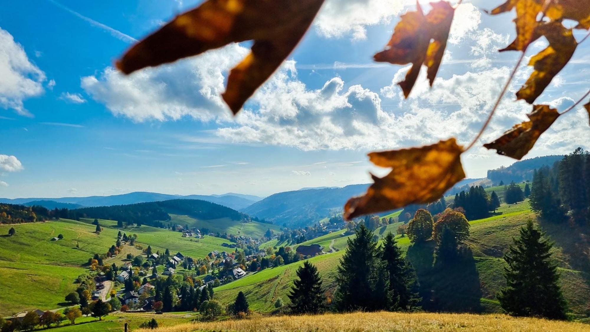 "Schwarzwaldblick" Ferienwohnung 2-4 Pers 65Qm, Schoene Ruhige Suedhanglage Mit Herrl Aussicht 토트나우 외부 사진